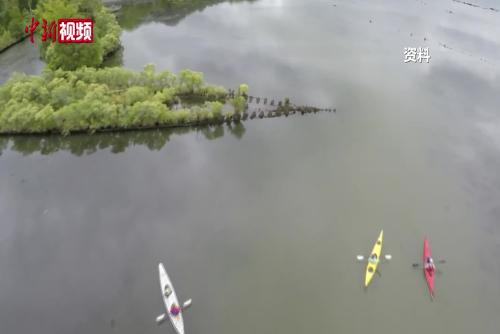 世界大战中沉没于海洋的残骸成野生动物家园