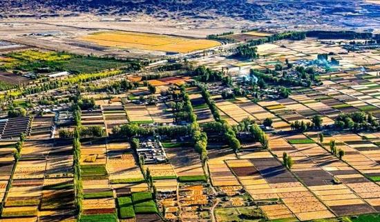 Exploring golden fields at harvest time