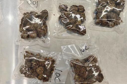 皇岗海关查获大麻49.73克